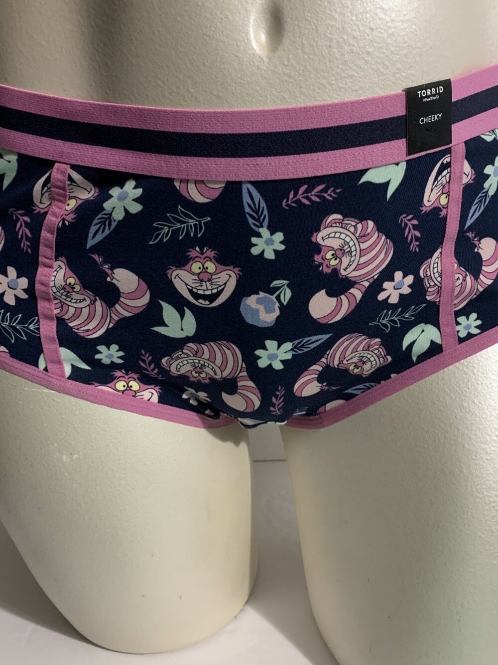 Torrid Cheeky Panties Underwear Alice in Wonderland Cheshire Cat Plus 3 22 24